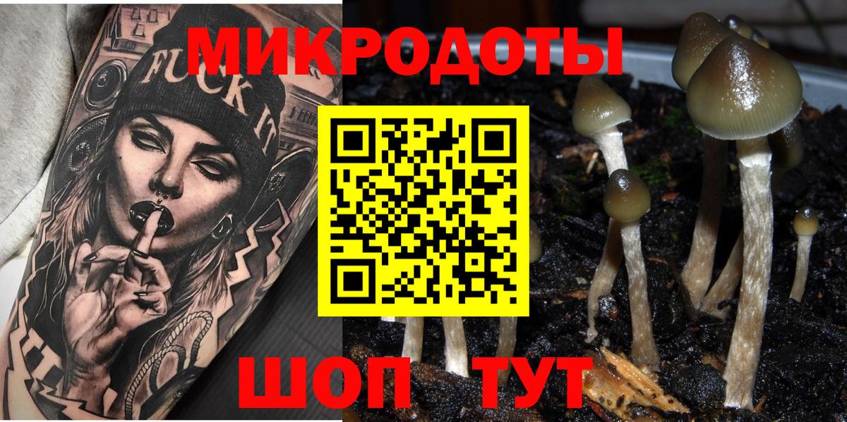 Псилоцибиновые грибы Cubensis Балашиха