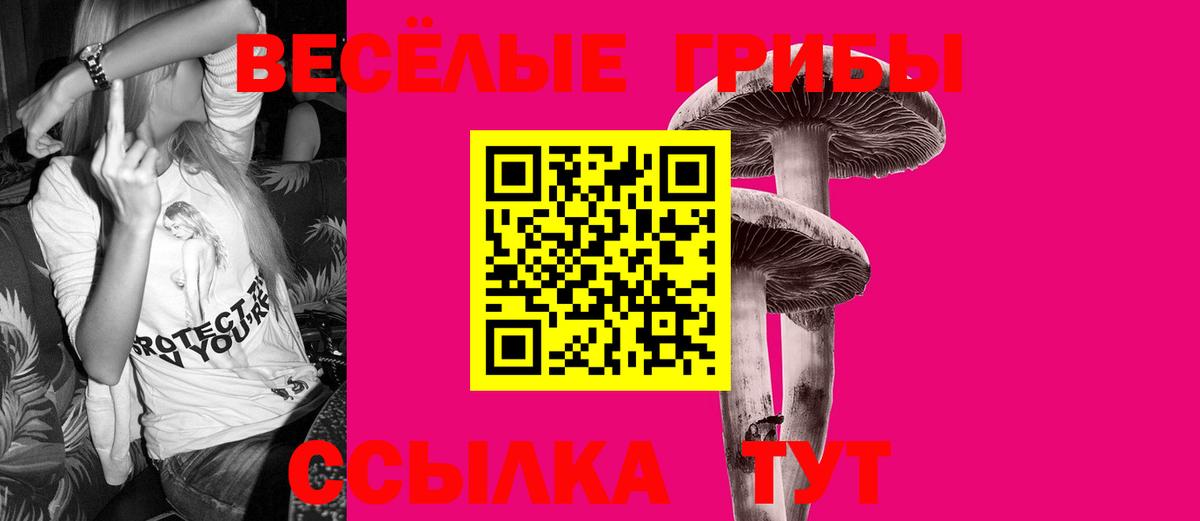 Балашиха  Псилоцибиновые грибы Psilocybine cubensis  Псилоцибиновые грибы мухоморы  Вход с VPN 